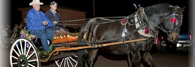 Annual Lighted Horse Parade