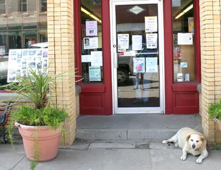 When visiting downtown you might be greeted by the neighborhood pooch.